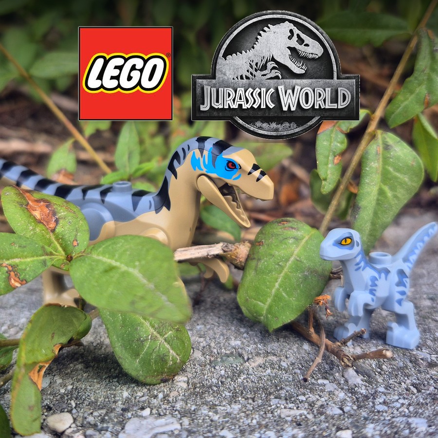LEGO® Jurassic World